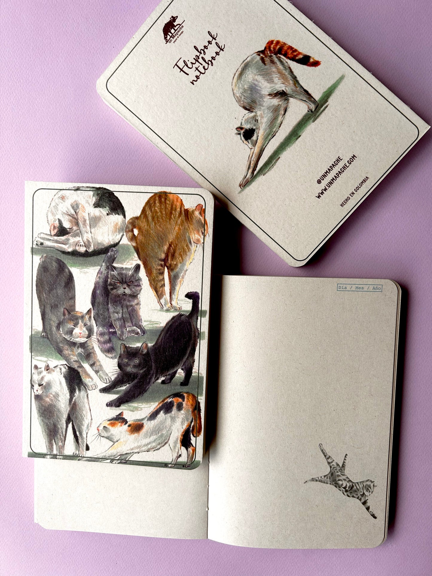 Libreta Mapache
