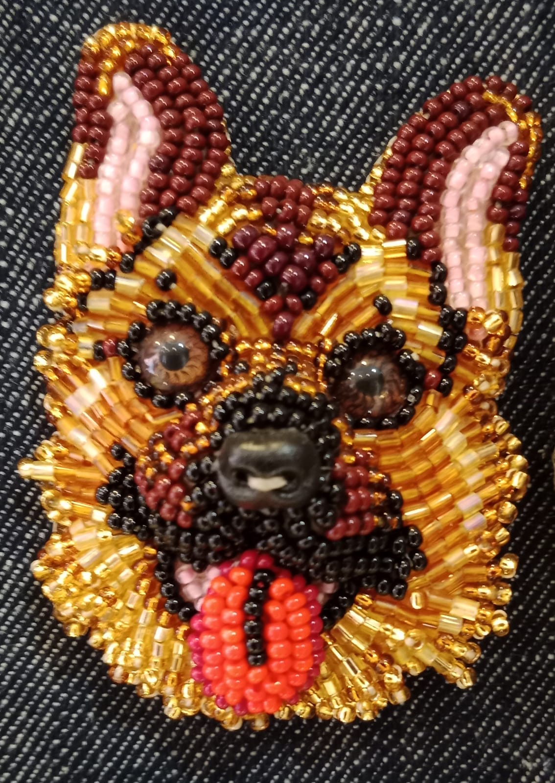 Paolín Pets