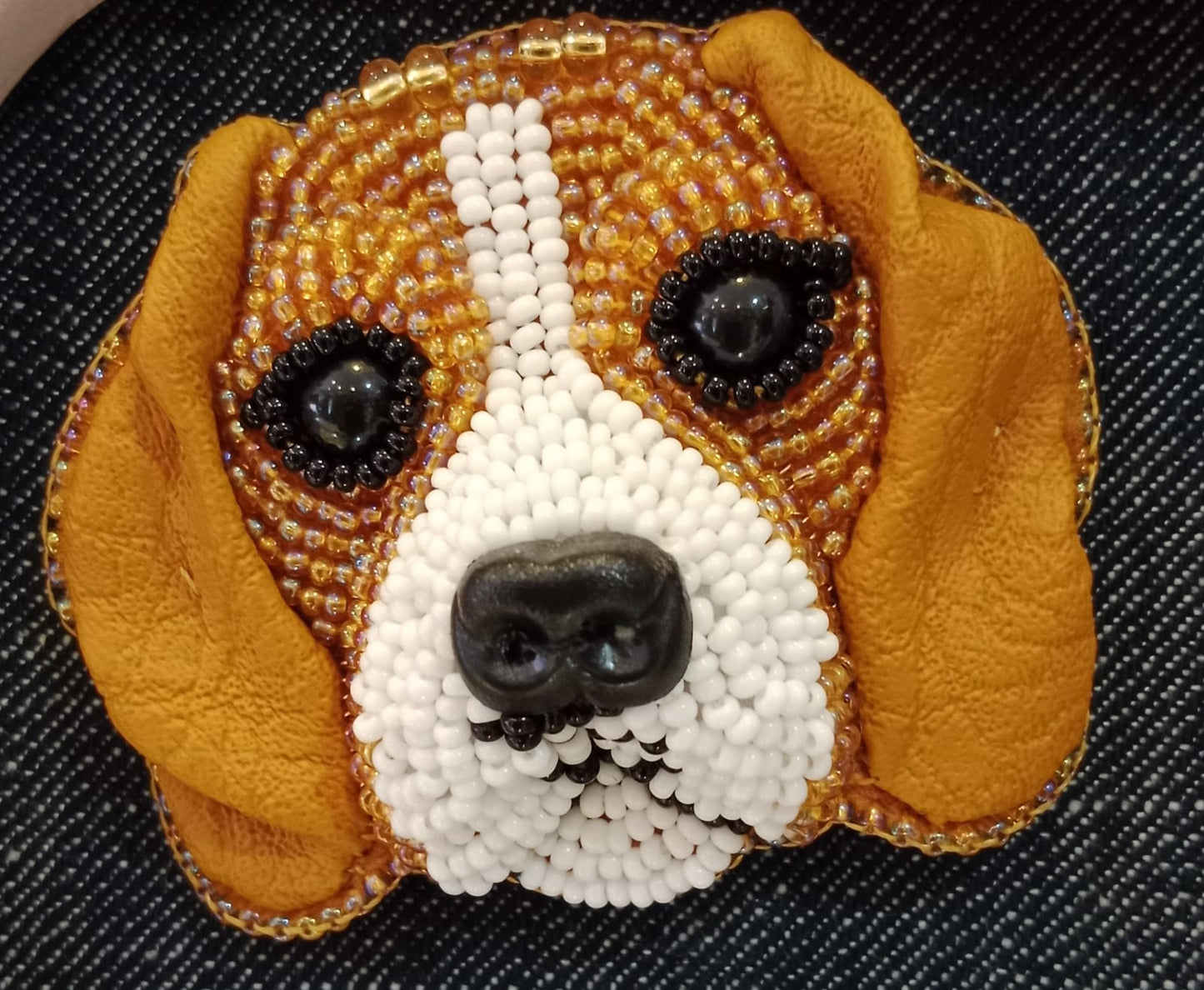 Paolín Pets