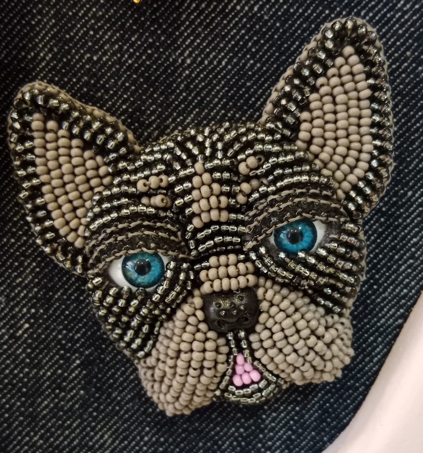 Paolín Pets
